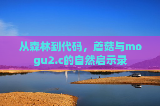 从森林到代码，蘑菇与mogu2.c的自然启示录