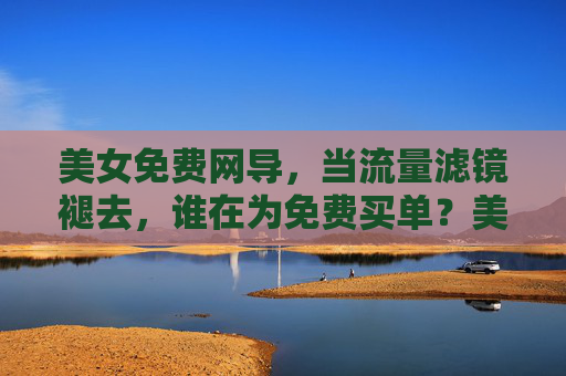 美女免费网导，当流量滤镜褪去，谁在为免费买单？美女免费网导，褪去滤镜，谁为免费买单？