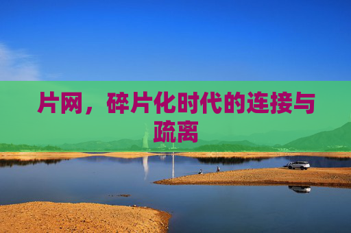 片网,碎片化时代的连接与疏离 片网,碎片化时代的连接与疏离