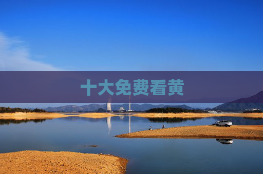 十大免费看黄