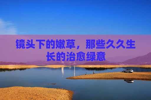 镜头下的嫩草，那些久久生长的治愈绿意