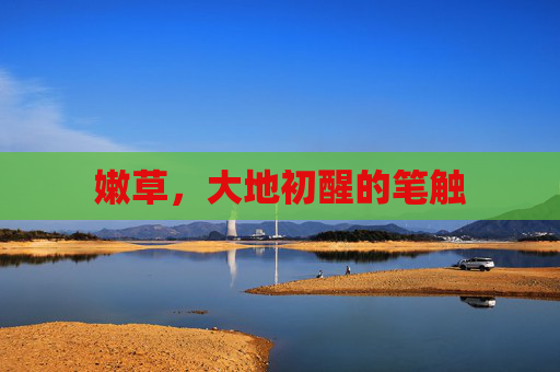 嫩草,大地初醒的笔触 嫩草,大地初醒的笔触