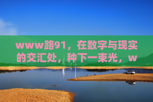www路91，在数字与现实的交汇处，种下一束光，www路91，在数字与现实交汇处种下一束光