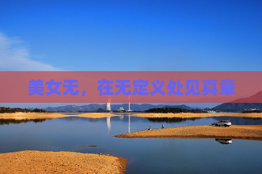 美女无，在无定义处见真章