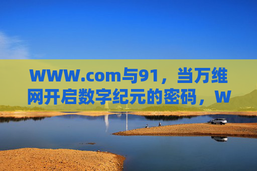 WWW.com与91，当万维网开启数字纪元的密码，WWW.com与91，万维网开启数字纪元的密码
