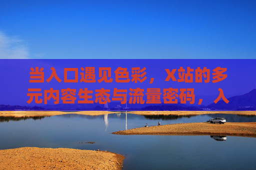 当入口遇见色彩，X站的多元内容生态与流量密码，入口遇色彩，X站多元内容生态的流量密码
