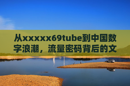 从xxxxx69tube到中国数字浪潮，流量密码背后的文化肌理与产业新章，从xxxxx69tube到中国数字浪潮，流量密码的文化肌理与产业新章