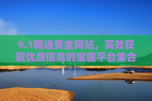 9.1精选黄金网站，高效获取优质信息的宝藏平台集合