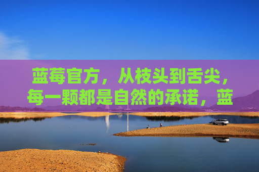 蓝莓官方，从枝头到舌尖，每一颗都是自然的承诺，蓝莓官方，从枝头到舌尖，每颗都是自然的承诺