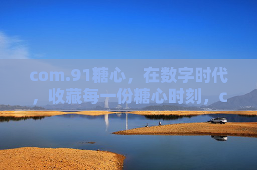 com.91糖心，在数字时代，收藏每一份糖心时刻，com.91糖心，数字时代，收藏每一份糖心时刻
