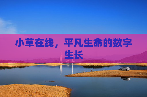 小草在线,平凡生命的数字生长 小草在线,平凡生命的数字生长