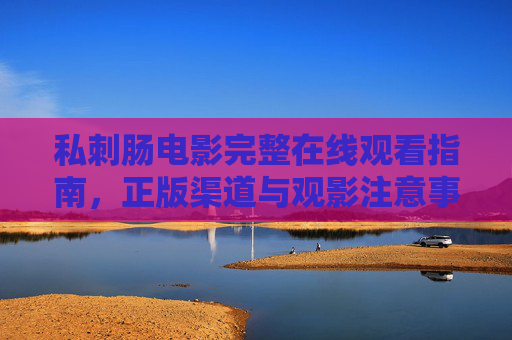 私刺肠电影完整在线观看指南，正版渠道与观影注意事项，私刺肠电影完整在线观看指南，正版渠道与观影注意事项