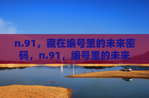 n.91,藏在编号里的未来密码,n.91,编号里的未来密码 n.91,藏在编号里的未来密码,n.91,编号里的未来密码