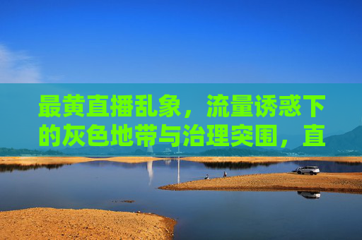 最黄直播乱象,流量诱惑下的灰色地带与治理突围,直播乱象,流量诱惑下的灰色地带与治理突围 最黄直播乱象,流量诱惑下的灰色地带与治理突围,直播乱象,流量诱惑下的灰色地带与治理突围
