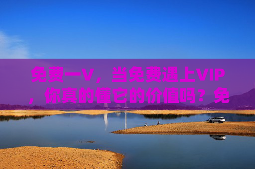 免费一V，当免费遇上VIP，你真的懂它的价值吗？免费遇上VIP，它的价值，你真的懂吗？