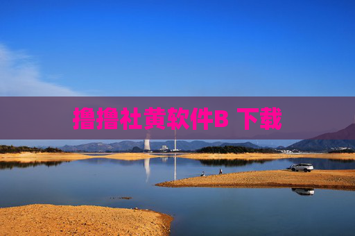 撸撸社黄软件B 下载