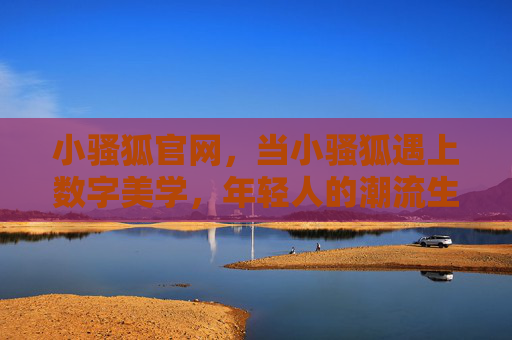 小骚狐官网，当小骚狐遇上数字美学，年轻人的潮流生活图鉴在这里展开