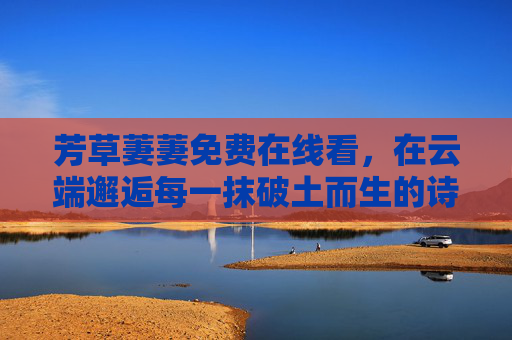 芳草萋萋免费在线看,在云端邂逅每一抹破土而生的诗意 芳草萋萋免费在线看,在云端邂逅每一抹破土而生的诗意