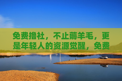 免费撸社,不止薅羊毛,更是年轻人的资源觉醒,免费撸社,年轻人的资源觉醒 免费撸社,不止薅羊毛,更是年轻人的资源觉醒,免费撸社,年轻人的资源觉醒