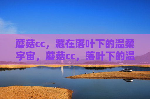 蘑菇cc,藏在落叶下的温柔宇宙,蘑菇cc,落叶下的温柔宇宙 蘑菇cc,藏在落叶下的温柔宇宙,蘑菇cc,落叶下的温柔宇宙