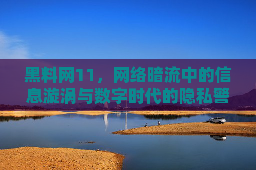 黑料网11，网络暗流中的信息漩涡与数字时代的隐私警钟