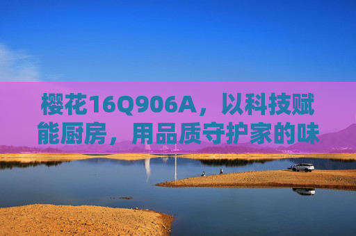 樱花16Q906A，以科技赋能厨房，用品质守护家的味道，樱花16Q906A，科技赋能厨房，品质守护家的味道