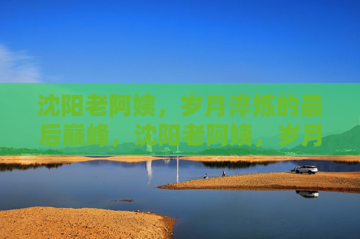 沈阳老阿姨，岁月淬炼的最后巅峰，沈阳老阿姨，岁月淬炼的巅峰