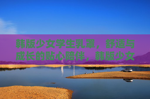 韩版少女学生乳罩，舒适与成长的贴心陪伴，韩版少女学生乳罩，舒适成长的贴心陪伴
