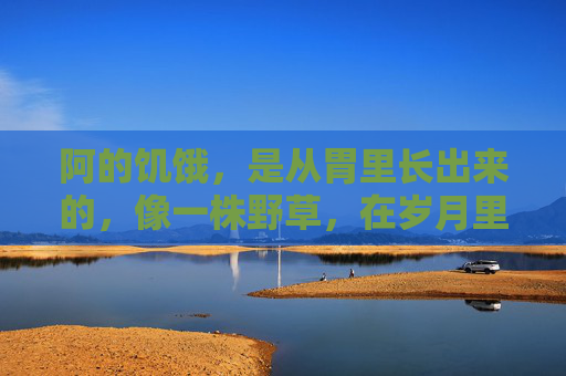 阿的饥饿，是从胃里长出来的，像一株野草，在岁月里疯长，根须扎进了骨头缝，饥饿，岁月疯长的骨缝野草