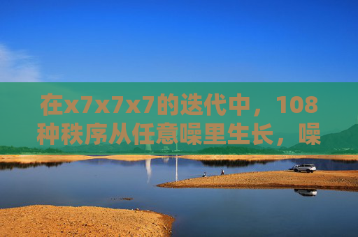 在x7x7x7的迭代中,108种秩序从任意噪里生长,噪中生长,108种秩序的迭代 在x7x7x7的迭代中,108种秩序从任意噪里生长,噪中生长,108种秩序的迭代