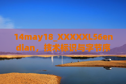 14may18_XXXXXL56endian，技术标识与字节序解析，技术标识与字节序解析