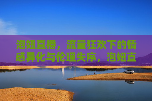 泡妞直播,流量狂欢下的情感异化与伦理失序,泡妞直播,流量狂欢中的情感异化与伦理失序 泡妞直播,流量狂欢下的情感异化与伦理失序,泡妞直播,流量狂欢中的情感异化与伦理失序