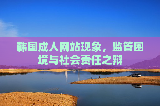 韩国成人网站现象,监管困境与社会责任之辩 韩国成人网站现象,监管困境与社会责任之辩
