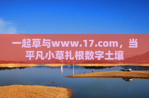 一起草与www.17.com,当平凡小草扎根数字土壤 一起草与www.17.com,当平凡小草扎根数字土壤