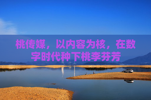 桃传媒,以内容为核,在数字时代种下桃李芬芳 桃传媒,以内容为核,在数字时代种下桃李芬芳