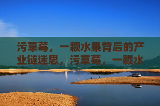 污草莓,一颗水果背后的产业链迷思,污草莓,一颗水果的产业链迷思 污草莓,一颗水果背后的产业链迷思,污草莓,一颗水果的产业链迷思