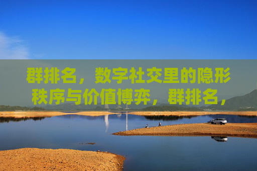 群排名，数字社交里的隐形秩序与价值博弈，群排名，数字社交里的隐形秩序与价值博弈
