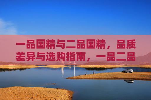 一品国精与二品国精,品质差异与选购指南,一品二品国精,品质差异与选购指南 一品国精与二品国精,品质差异与选购指南,一品二品国精,品质差异与选购指南