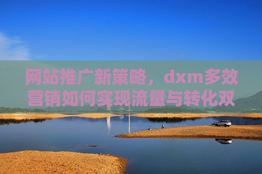 网站推广新策略，dxm多效营销如何实现流量与转化双提升？网站推广新策略，dxm多效营销实现流量与转化双提升