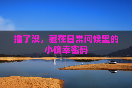 撸了没,藏在日常问候里的小确幸密码 撸了没,藏在日常问候里的小确幸密码