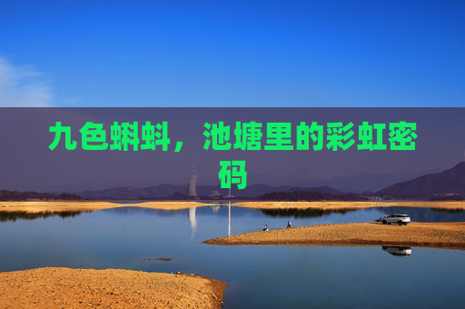 九色蝌蚪,池塘里的彩虹密码 九色蝌蚪,池塘里的彩虹密码