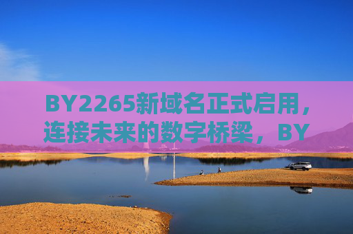 BY2265新域名正式启用，连接未来的数字桥梁，BY2265新域名正式启用，连接未来的数字桥梁