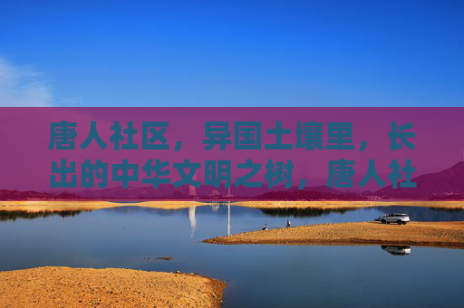 唐人社区，异国土壤里，长出的中华文明之树，唐人社区，异国土壤长中华文明之树
