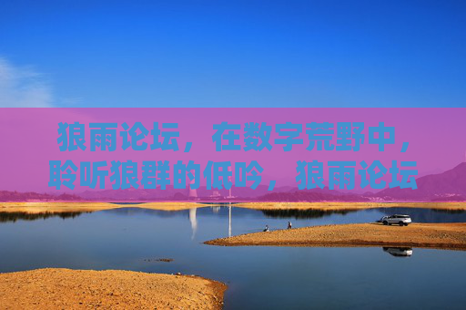 狼雨论坛，在数字荒野中，聆听狼群的低吟，狼雨论坛，数字荒野中的狼群低吟