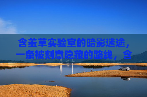 含羞草实验室的暗影迷途,一条被刻意隐藏的路线,含羞草实验室,暗影迷途中的隐藏路线 含羞草实验室的暗影迷途,一条被刻意隐藏的路线,含羞草实验室,暗影迷途中的隐藏路线