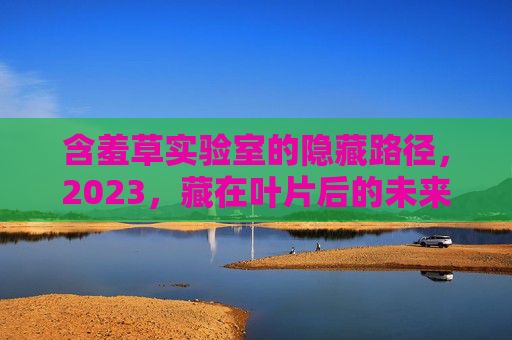 含羞草实验室的隐藏路径,2023,藏在叶片后的未来密码 含羞草实验室的隐藏路径,2023,藏在叶片后的未来密码
