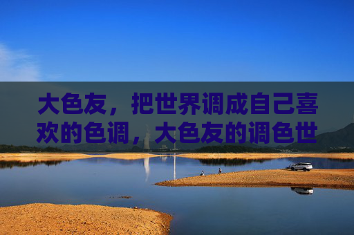 大色友，把世界调成自己喜欢的色调，大色友的调色世界，随心定制色调