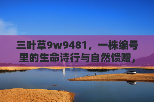 三叶草9w9481，一株编号里的生命诗行与自然馈赠，编号9w9481，三叶草的生命诗行与自然馈赠