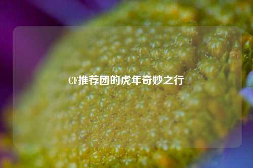 CF推荐团的虎年奇妙之行