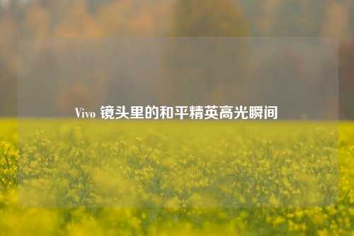 Vivo 镜头里的和平精英高光瞬间
